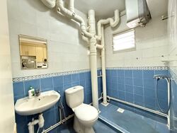 Blk 175A Punggol Field (Punggol), HDB 5 Rooms #547446161